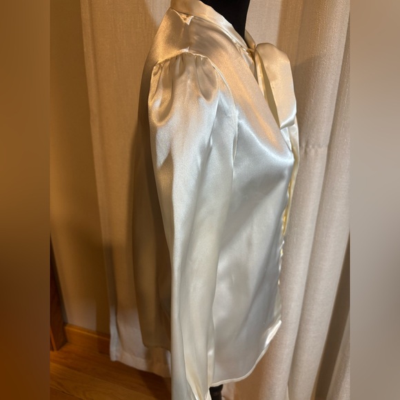 Chic Satin Bow-Tie Blouse - Picture 5 of 6